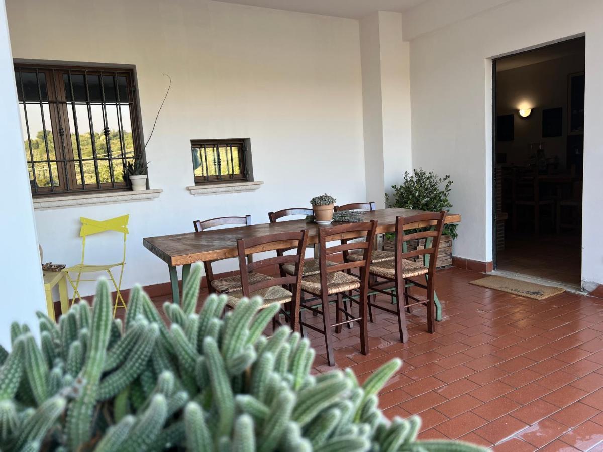 La Casa Di Demetra. Un Paradiso Tra Gli Olivi. Montecchio  Eksteriør billede
