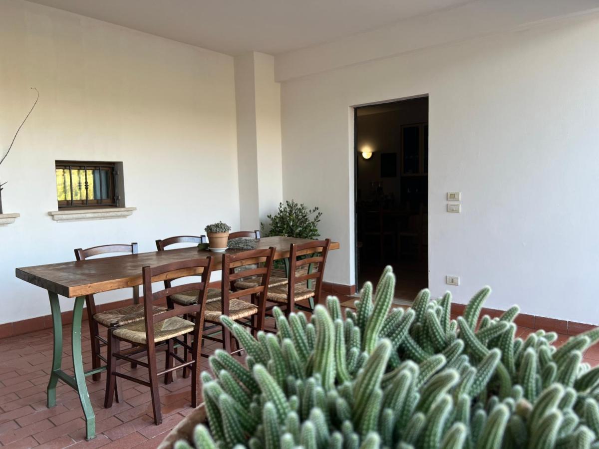 La Casa Di Demetra. Un Paradiso Tra Gli Olivi. Montecchio  Eksteriør billede