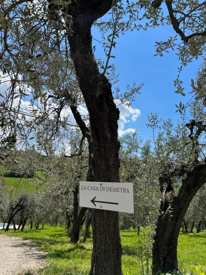 La Casa Di Demetra. Un Paradiso Tra Gli Olivi. Montecchio  Eksteriør billede